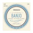 5-string Banjo