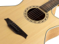 Preview: Bromo BAA-2CE - inkl. Pickup - natur matt lackiert
