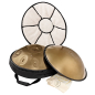 Preview: Meinl Sonic Energy Sensory Handpan - Stainless Steel - C# Moll - 9 Töne - 432 Hz - Vintage Gold - inkl. gepolsterter Tasche und Schutdeckel
