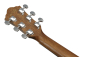 Preview: Ibanez VC40WSCE-OPB - Open Pore Brown