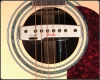 Preview: Shadow SH 145-G - Aktiver Schalllochtonabnehmer (Humbucker)