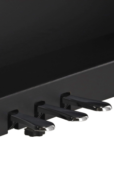 GEWA Digitalpiano AP510-BK -