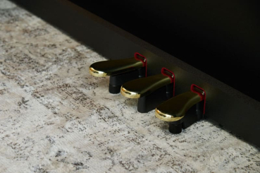 Preview: Casio Digitalpiano AP300 BK - schwarz