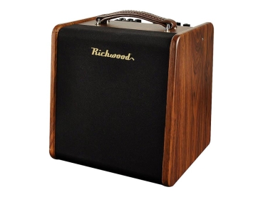 Richwood Performer 65 - Combo für Akustikgitarre - 2 Inputs - 60 Watt