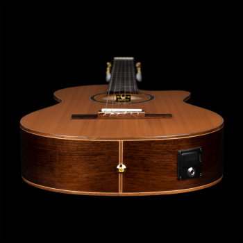 Ortega RCE159-MN - massive Zederndecke - inkl. Gigbg - 50mm Medium Neck