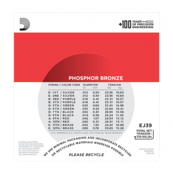 D`Addario EJ39 12-String Phosphor Bronze, Medium, 12-52