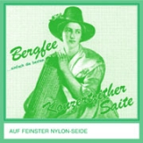 Bergfee Zither-Begleitsaitensatz - normal - Nylon - für Konzertzither - grüne Packung - es1 bis gis12