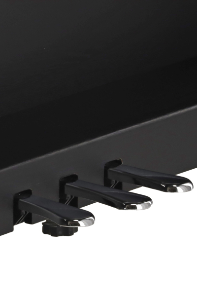 GEWA Digitalpiano AP510-BK -