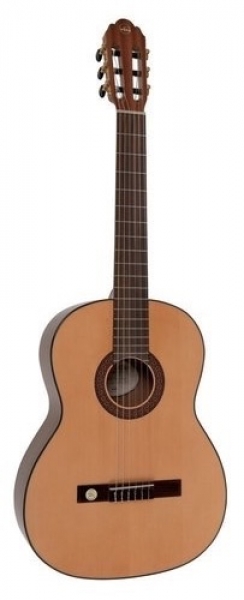 Gewa Pro Arte GC 210 A - 4/4 - massive Fichtendecke