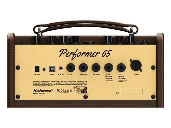 Richwood Performer 65 - Combo für Akustikgitarre - 2 Inputs - 60 Watt