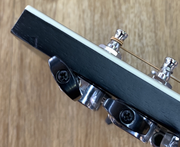 ibanez aw8412