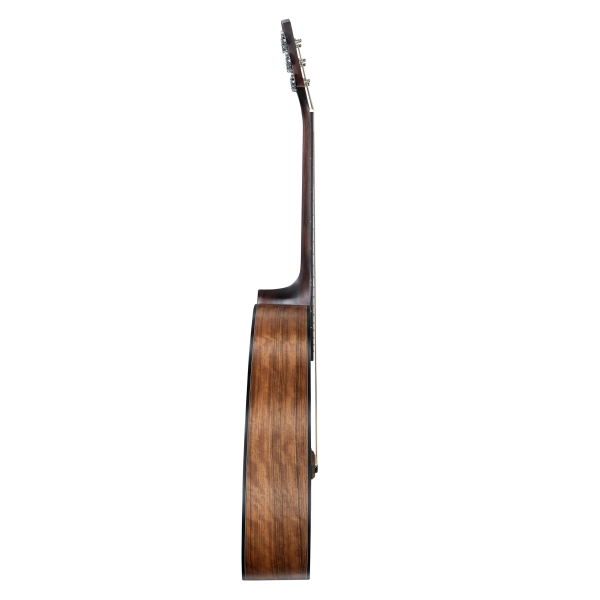 Performer Series Dreadnought Gitarren-Set - massive Fichtendecke - Korpus: Walnuss