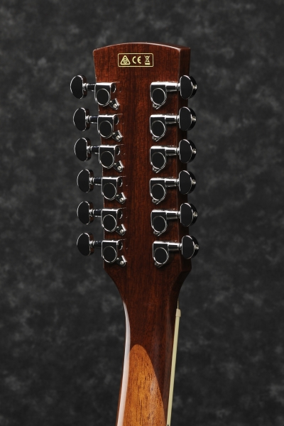 Ibanez PF1512ECE-NT - Natur