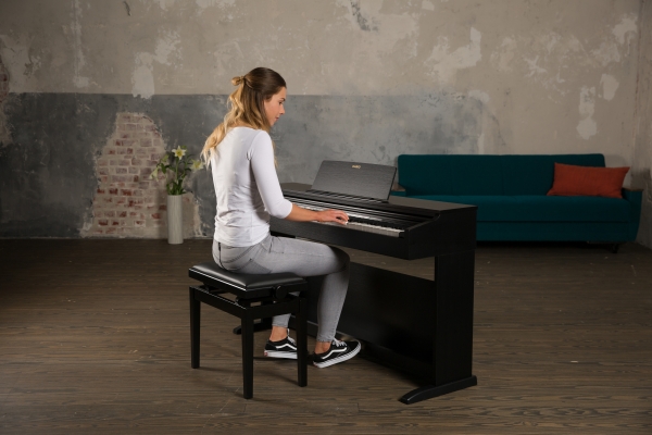Casio Celviano AP-270 BK - schwarz matt