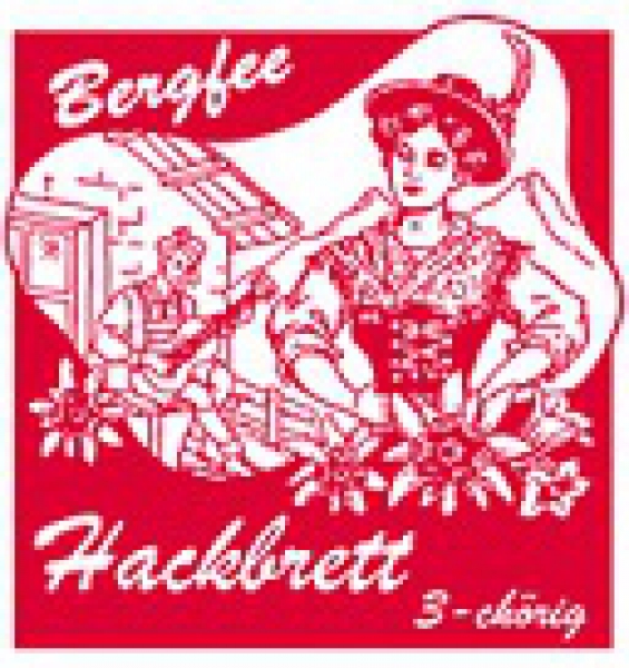 Hackbrett BERGFEE 3-chörig (3 Saiten) gis 2 - Goldumwickelt
