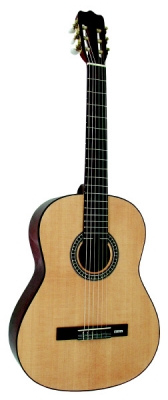 M.P. Bargulino MP-793 - massive Fichtendecke