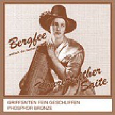 Bergfee Zither Griffsaiten-Satz  - versilbert - verlängert - für Harfenzither